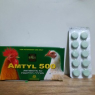 AMTYL 500 / BLISTER 10pcs