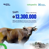 Qurban Sapi Standar 200-230kg