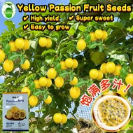[Imported Vegetables] 80seeds Sweet Yellow Golden Passion Fruit Seeds Buah Markisa Kuning Emas Benih
