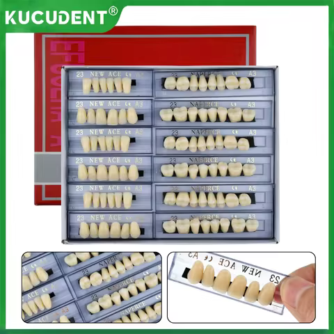 168Pcs/Box Dental Synthetic Resin Denture Teaching Model Upper Anterior Lower Posterior Fake Teeth K