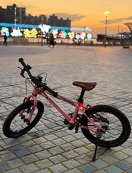 Fisher Rider 16 Kids Bike 兒童單車