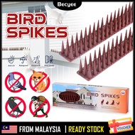 12Pcs Anti Bird Spike Anti Cat Bird Repellent Dog  防猫防鸟刺 Climbing Wall Window Railing Garden Spike F