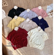 (Salt Fragrance) polo sweater with horse embroidery in small form