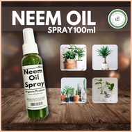 ✈ ▧ ✻ NEEM OIL SPRAY FOR PLANTS ORGANIC PLANT CARE SPRAY ORGANIC NEEM OIL