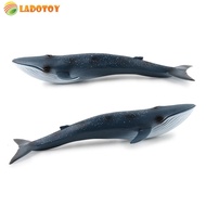 Big Size Sea Marine Animal Figures Soft Rubber Sea Creature Action Models Whale Ornament Simulation Models Toys Realistic School Project Favors Toys