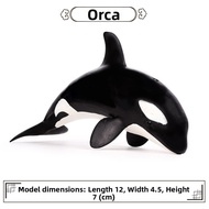 Educational Orca Whale Toy Model Solid Ornament