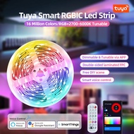 Tuya WIFI Control Led Light Strip Flexible RGBIC Rainbow Tape LED Strip 12V Dream Color Ribbon Tape Light for Home Room Decoration