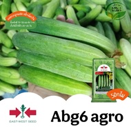 50g Biji Benih Timun Baby Magnum Green F1 Hybrid / Timun Baby Buah Lebat / Timun Mini / East West Se