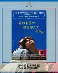 以你的名字呼喚我 Call Me by Your Name 日版B5電影海報/單張