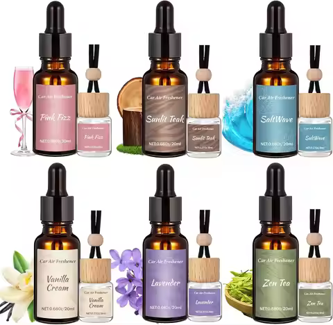12 Pack Car Air Freshener Refills, 6-Scent Hanging Diffuser Set with 8ml+20ml Refill, Essential Oil 