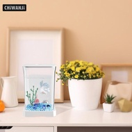 [CHiWANJi] Betta Fish Tank Amphibian Feeding Box Clear View Mini Goldfish Tank Multiuse for Living R