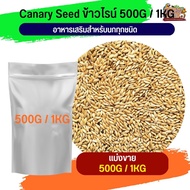 Canary Seed ข้าวไรน์ (500G / 1KG)