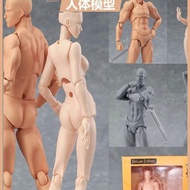 Figma Body 2.0 Figure Art Comics Painting Tools Human Body Sketch Model Joint Action Figure Model