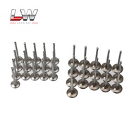 Intake & Outlet Valve Kit Fit For A6 C7 A7 Sportback A8 Q7 R8 4.2L 4.0T CEUC BVJ 06D109601K 06D10960