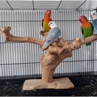 Bird perch bird perch/ bird perch/