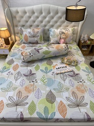 THUN LATICO - BỘ GA SIÊU LẠNH LỤA - THÁI LAN CAO CẤP MỚI (ÔM KHOÁ KÉO)