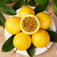 10pcs Panama Rose Gold Passion Fruit Seeds 10粒巴拿马玫瑰香黄金百香果种子