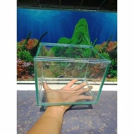 Aquarium Soliter Mini Ukuran 20x15x15