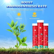 Home Gardening Universal Slow-Release Tablet Organic Fertilizer Plant Flowers Nitrogen Phosphorus Potassium Slow Release Agent