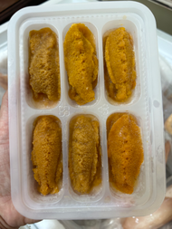 澎湖生食級馬糞海膽