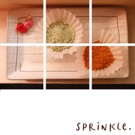 GRINDSTONE SG - SPRINKLES/SHAKER FRIES_20G_NO ADDED MSG