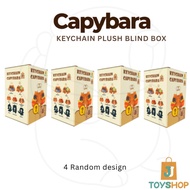 Capybara Blind Box Keychain Plush Capybara Plush Keychain Kapibara Keychain Capibara Keychain Capyba