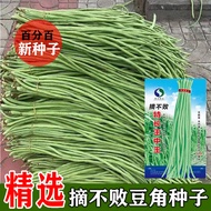 现货爆款高产长豇豆种子摘不败豆角种籽菜种子四季豆春秋蔬菜种子High Yield Asparagus Bean Seed Picking Bean Seed Vegetable20250922
