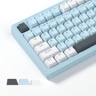 Womier Shine Through Keycaps, PBT Keycaps 60% Percent 134 Keys Cherry Profile Custom Keycap Set for 