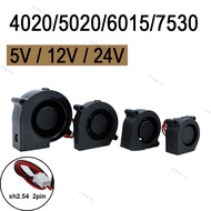DC 5V 12V 24V 2Pin 4020 5015 6015 7530 Blower Turbo Cooling Fan Brushless 4cm 5cm 6cm 7cm for 3D Pri