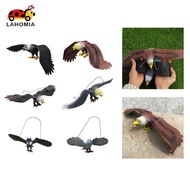 LAHOMIA Simulated Eagle Model Kids Toy Highly Detailed Education Eagle Statue Eagle Toy Figure for K