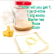 Kombucha Starter Kit  3 LITRE | Making Kit | Homemade | Home Brew | Scoby | Brewing Kit | Guide to b