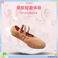 Ballet Shoes Adult Canvas Dance Shoes Women Sneakers