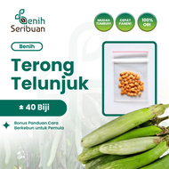 Benih Seribuan - 40 Benih Sayuran Terong Telunjuk Lurik Unggul