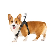 Insta360 | Pet Vest Mount