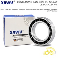 CERAMIC hybrid CERAMIC bearing 15267 17287 699 6000 6001 6900 6901 6902 6903 6800 6801 6802 6803 680