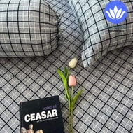 Combo 2 áo gối nằm và 1 áo gối ôm thun lạnh hàn quốc