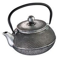 天上野 - 鐵砂茶壺 (680ml) (銀色) (連過濾網) (送禮之選)