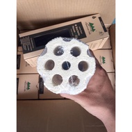 1 Generation 3 Lotus Root Ceramic Filter Barrel (8x25cm) - Mountain Tree Lotus Root Bacteria House I