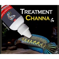 Treatment Ikan Channa Andrao Stewarti Limbata Maru
