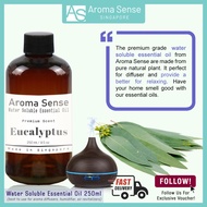 Aroma Sense Eucalyptus Scent Water Soluble Essential Oil (250ml)