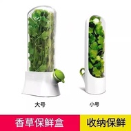 Taiwan Shipping Vanilla Fresh-Keeping Box Coriander Asparagus Vegetable Fruit Cup Scallion Carrot Fl