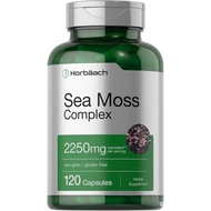 Horbäach Sea Moss Complex Capsules | 2250mg | 120 Count | Complex Formula with Bladderwrack & Burdoc