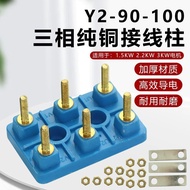 YE2/YX3 Three-Phase Motor Terminal Block Terminal Y2-90-100 Copper Connector Screw Terminal Board 1.