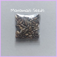 ◸ ▩ Maramais Seeds Per Pack