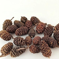 [in stock] Salmon Fruit Watermelon Fruit Christmas Tree Ornaments Acorn Production Shooting Photo De