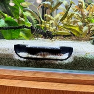 PLA Aquarium Cave Underground Corner Tunnel Bottom Dweller Underground Cave Aquarium Hideout Cave Fi