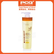 Chihtsai Insight Caffeine Hair Growth Hair Loss Shampoo