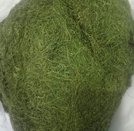daun herbal gayo hijau premium 50 gram