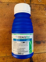 Fungisida MIRAVIS DUO 75/125SC isi 250ml dari SYNGENTA