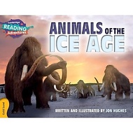 THE ICE AGE (ISBN: 9781107551626)